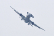 image0421