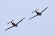 image0474