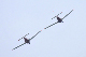 image0476