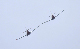 image0478
