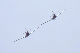 image0479