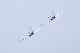 image0481