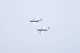 image0492