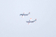 image0493