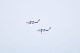 image0496