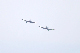 image0529