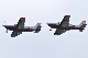image0554