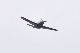 image0575