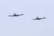 image0617