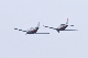 image0648