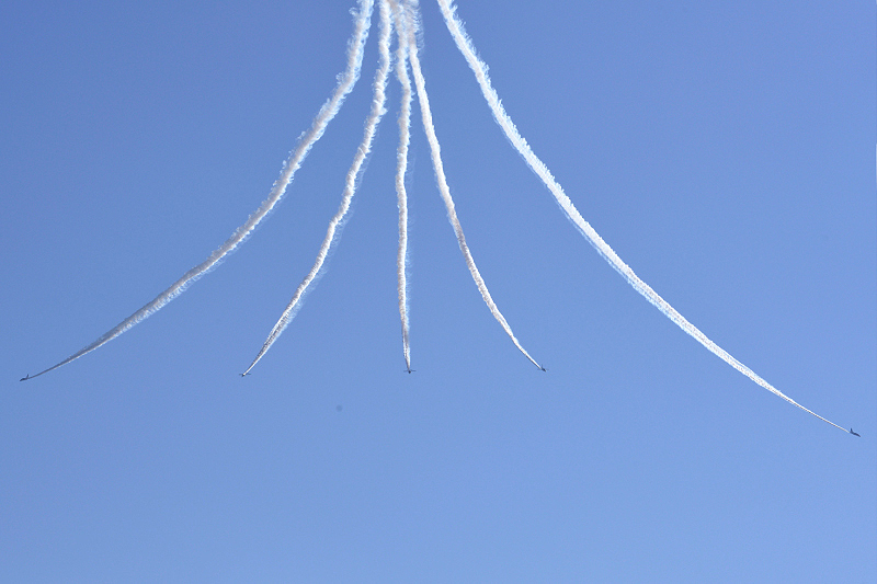image0240