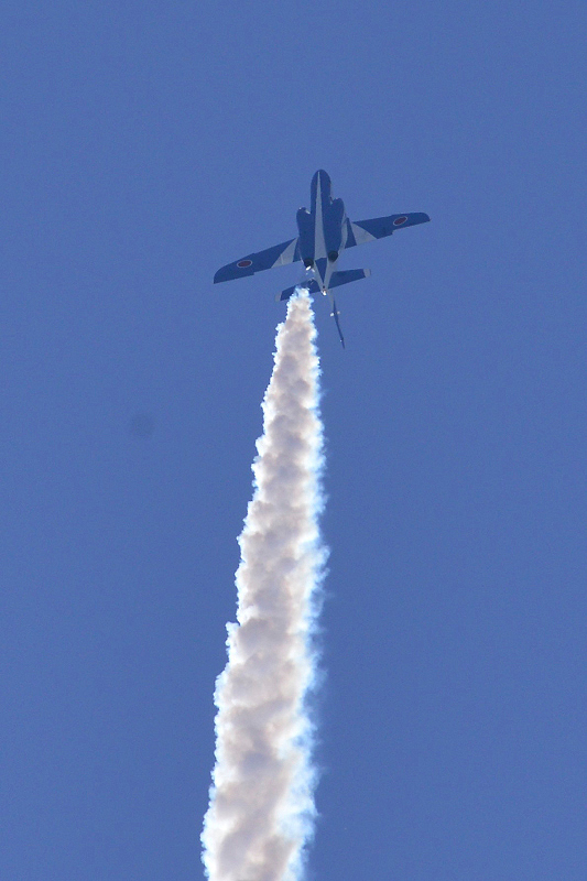 image0253