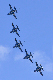 image0188
