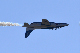 image0192