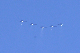 image0218