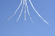 image0239