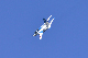 image0245