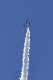 image0254