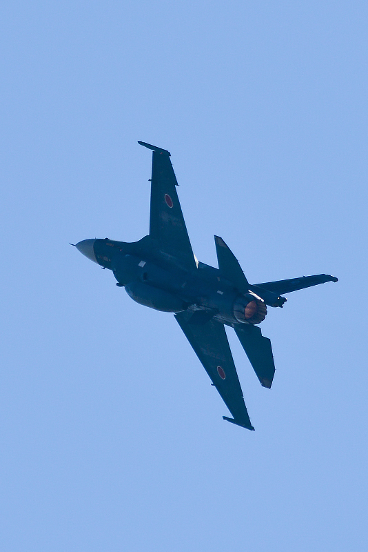 image0690