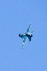 image0538