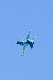 image0539