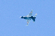 image0542