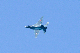 image0543
