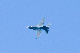 image0544