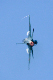 image0564