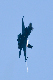 image0594