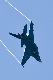 image0628