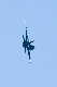 image0639