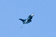 image0659