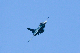 image0660