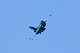 image0661