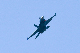 image0662