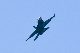 image0663