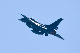 image0689