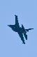 image0690