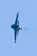 image0692
