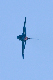 image0693