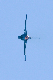 image0694