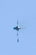 image0695