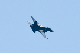 image0731