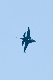 image0734