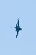 image0735