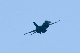 image0736