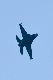 image0737