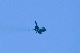 image0760
