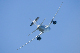 image0795